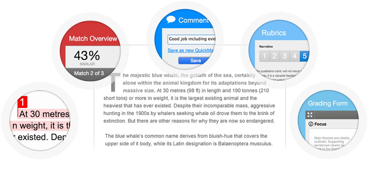 when college applicants plagiarize, turnitin can